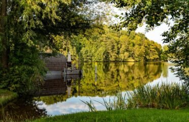 ️ Your Therapy Path. Integrative Therapy & Clinical Supervision